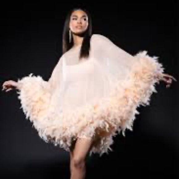 BRAND NEW Sheer Pale Neutral Feather Cape mini dress AKIRA Medium - Picture 1 of 11